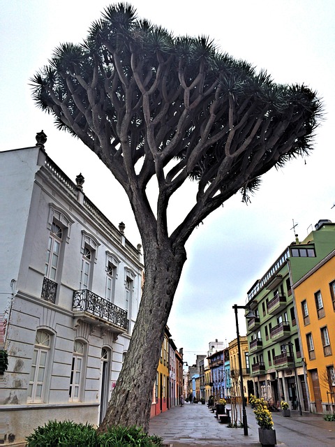 San Cristobal de La Laguna Teneriffa