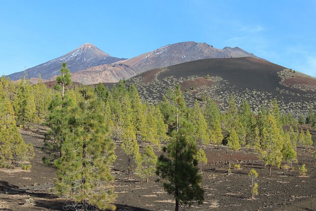 VULKAN CHINYERO AUF TENERIFFA – DIE UNTERSCHÄTZTE WANDERUNG ABSEITS DES TEIDE