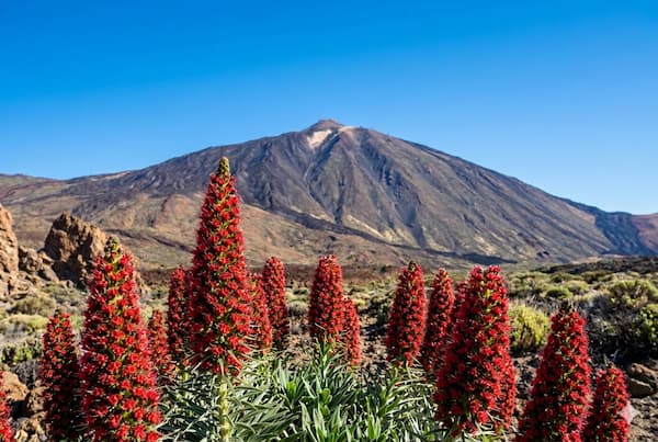 Rauchverbot im Nationalpark Teneriffa