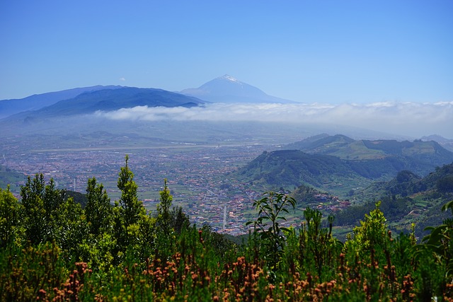 Teneriffa Orotavatal mit Blick auf den Teide