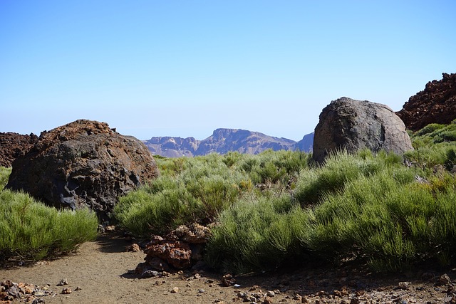 Teneriffa und Lavalandschaften