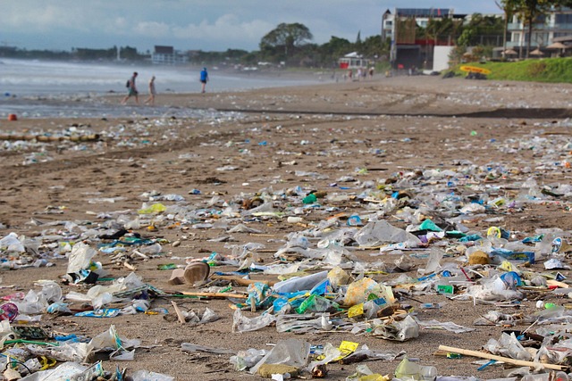 Plastikmüll an Stränden