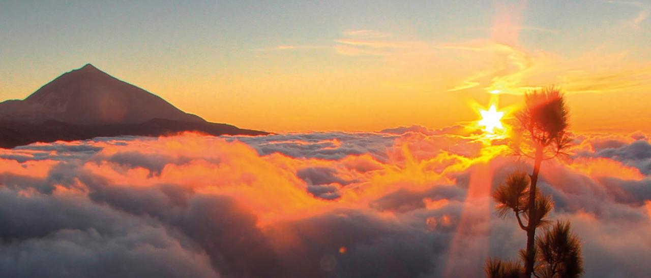 Wolkenmeer auf Teneriffa- Die besten Orte zum Wandern über den Wolken