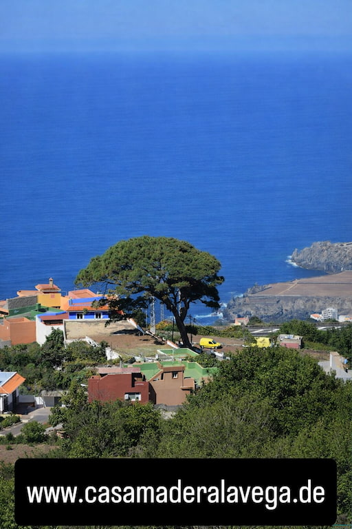 La Vega, Icod de los Vinos, Teneriffa