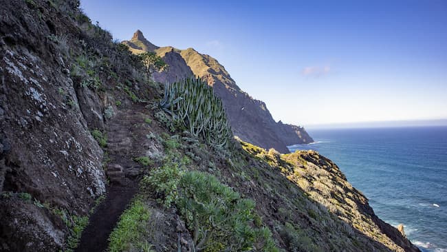 Wanderwege im Norden Teneriffas