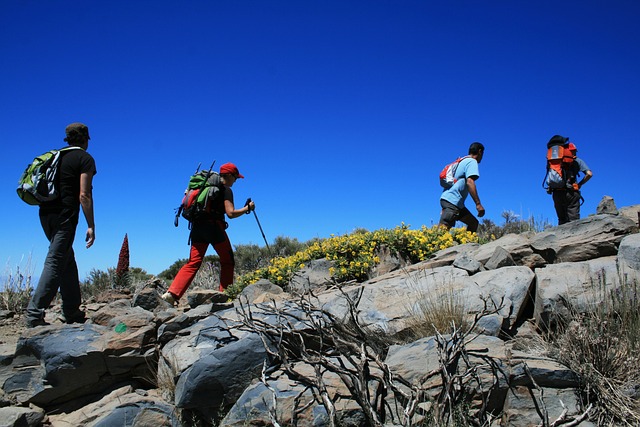 Wandern auf Teneriffa