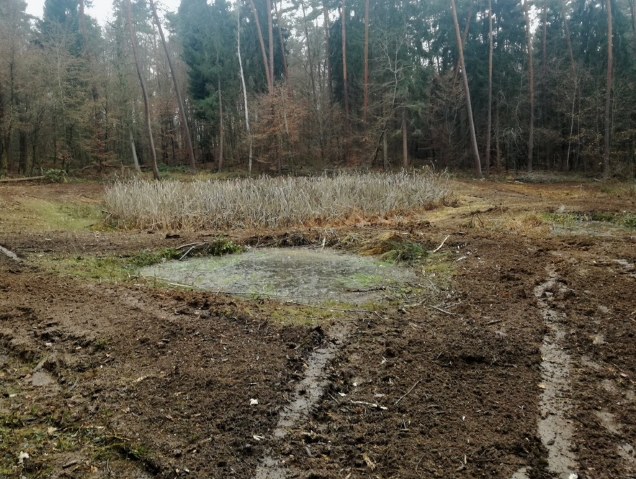 Aufnahme 2019  (nach NABU-Einsatz)