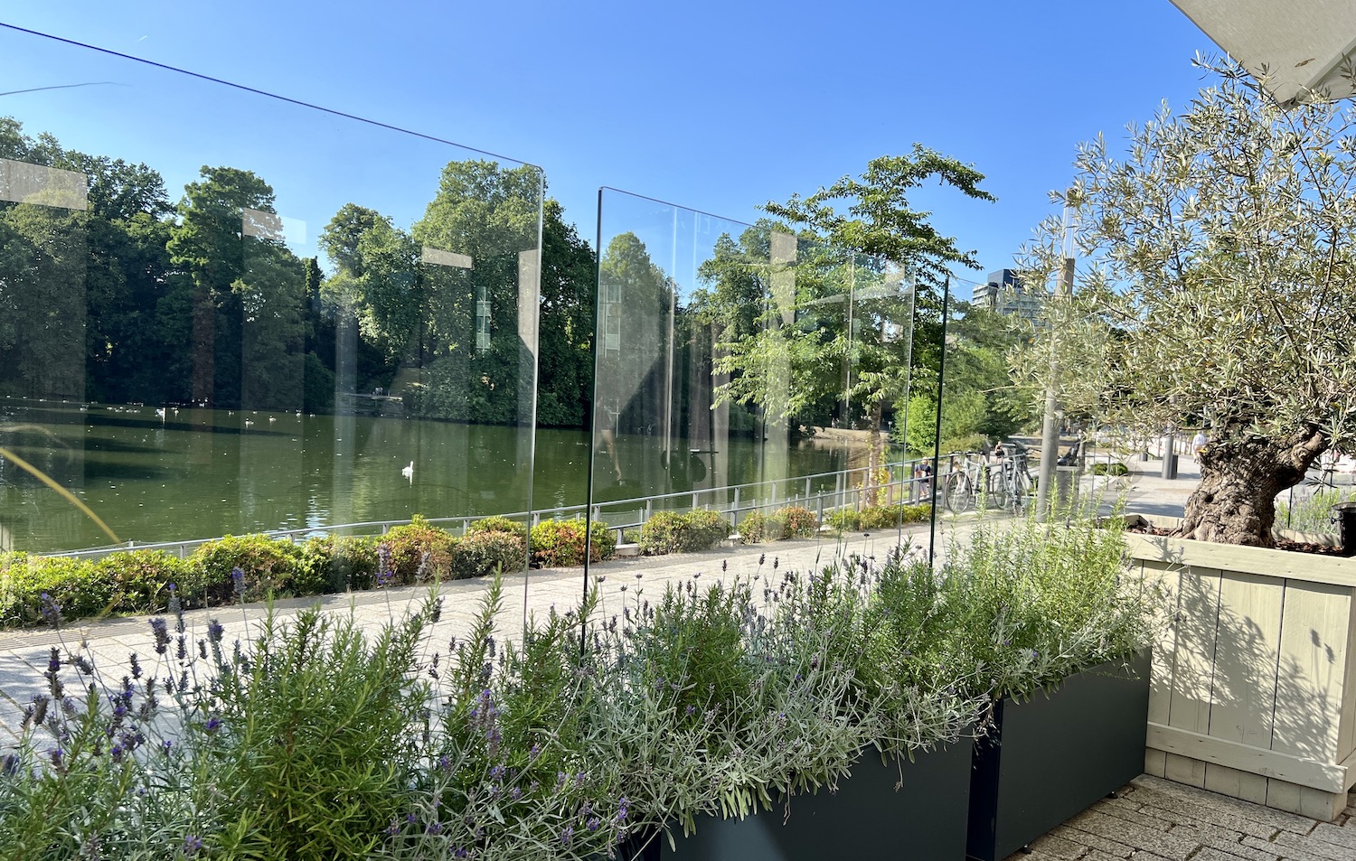 Planung Gastronomie-Terrassen - TERRASSENPROFIS Informationsportal