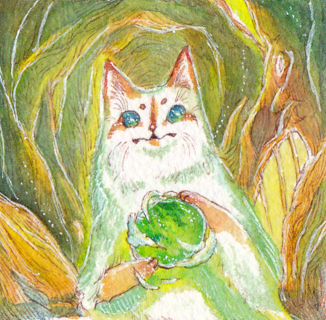 ★星猫