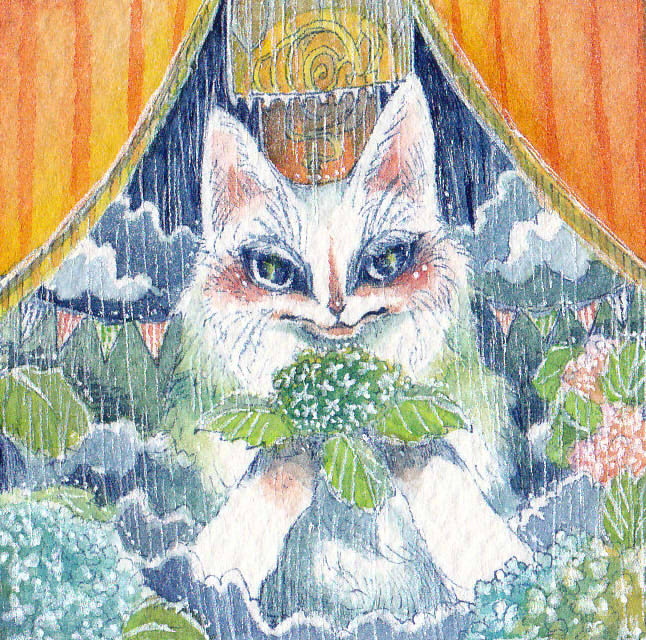 ☆雨猫