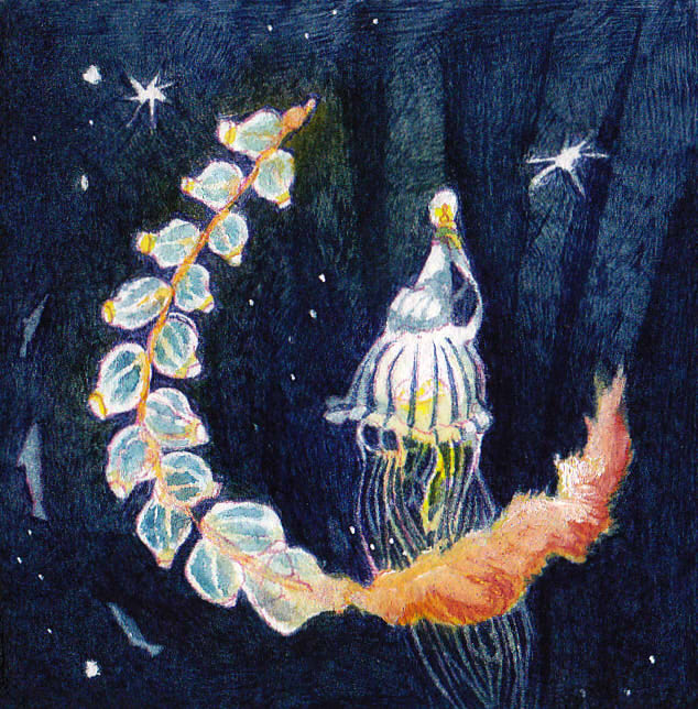 ☆旅日誌 - No.03
