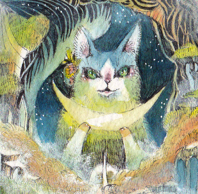 ☆月猫