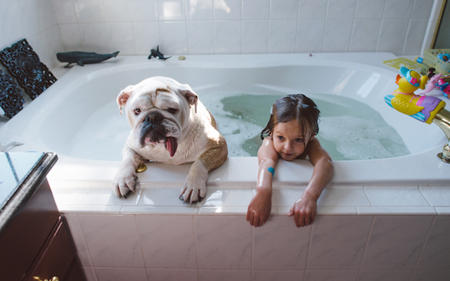 bebes, niños, maternidad, mascotas, fotografía