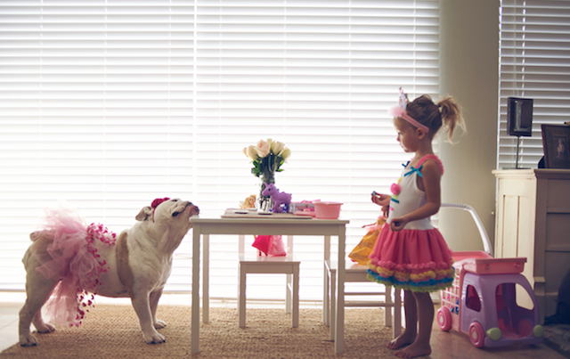 bebes, niños, mascotas, maternidad, fotografía, ines adiego