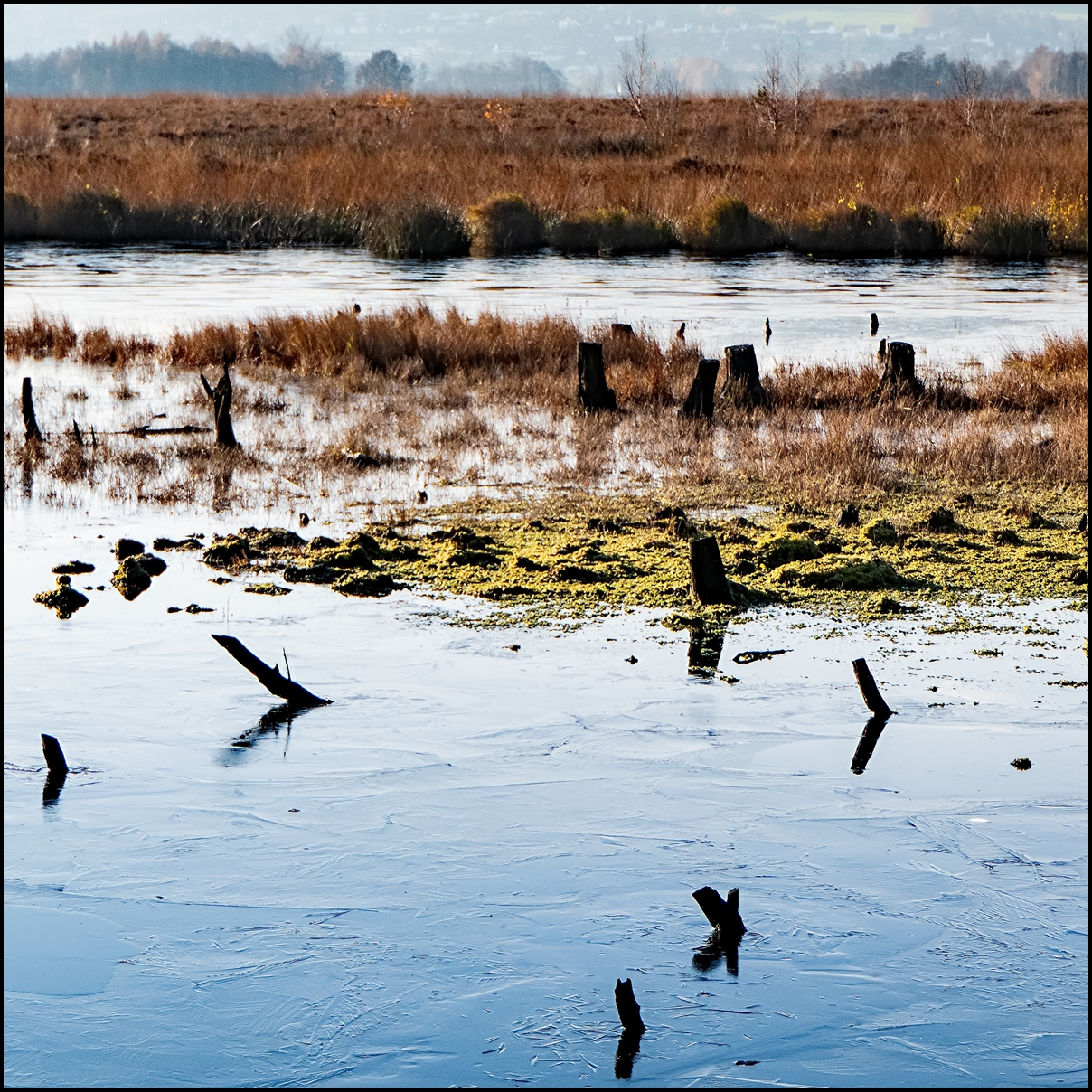 Erlebniswelt Moor