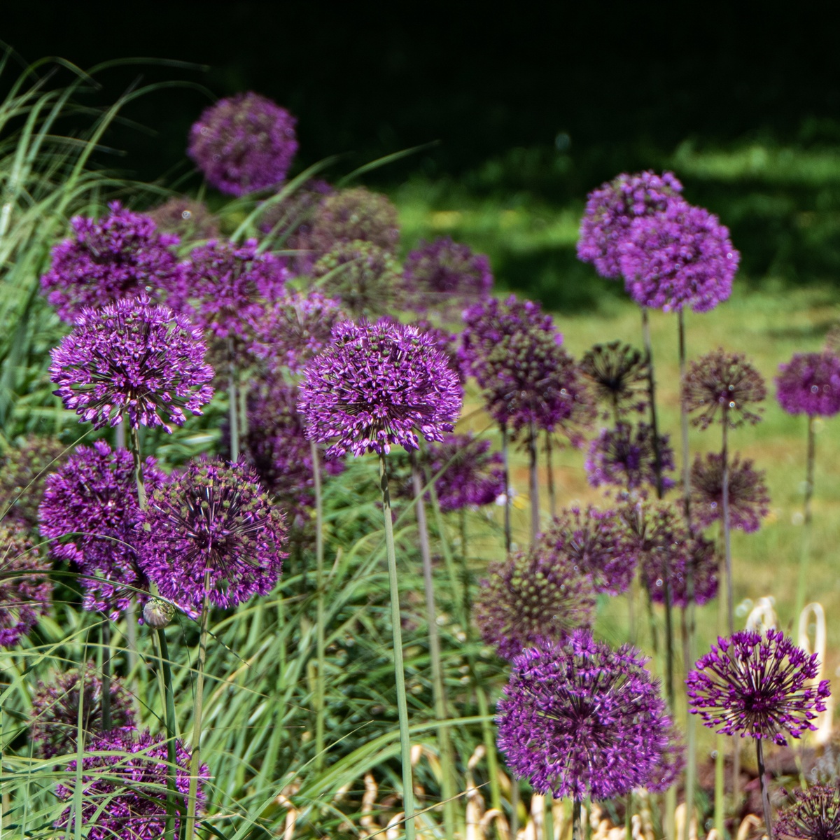 Der Botanische Garten in Gütersloh