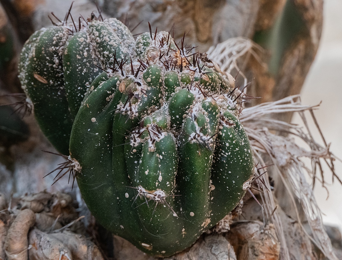 Botanischer Garten der Universität Münster