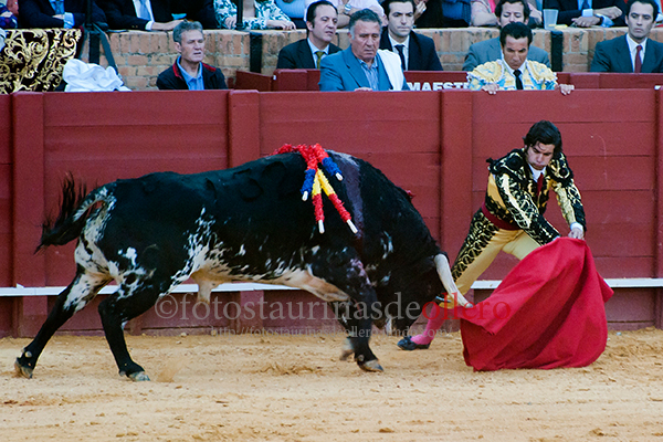 Morante en Sevilla el 21-04-2012