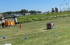 9/4 運動会練習見学
