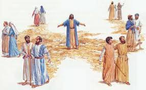 Parmi ses disciples, le Seigneur en désigna 72 et les envoya deux par deux (Luc 10, 1)