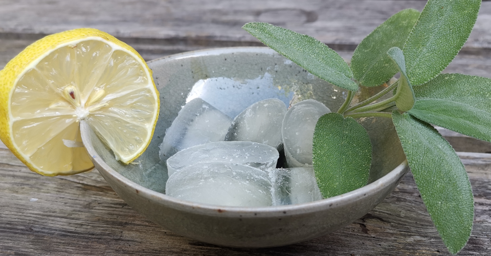 Heilpflanzen-Rezept: Salbei-Zitronen-Eiswürfel | 1. Hilfe bei Halsschmerz