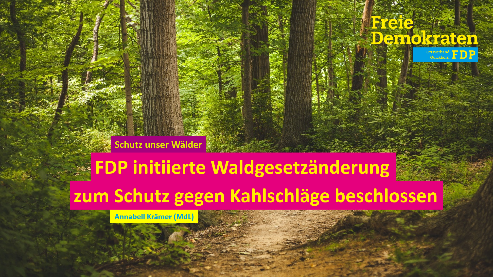 FDP initiierte Waldgesetzänderung zum Schutz gegen Kahlschläge