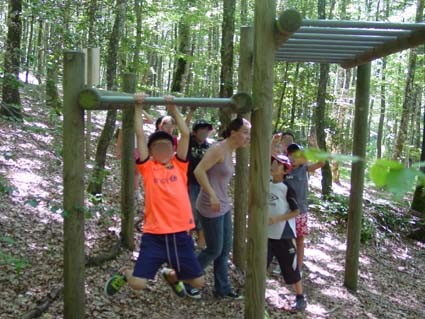 Activités dans les bois