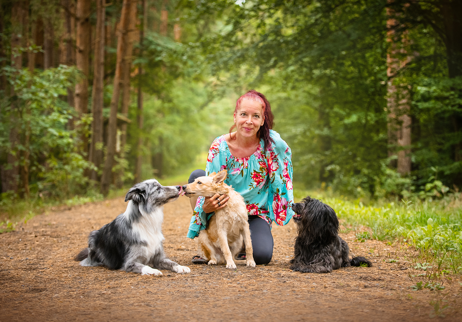 Trainings- und Turniervideos