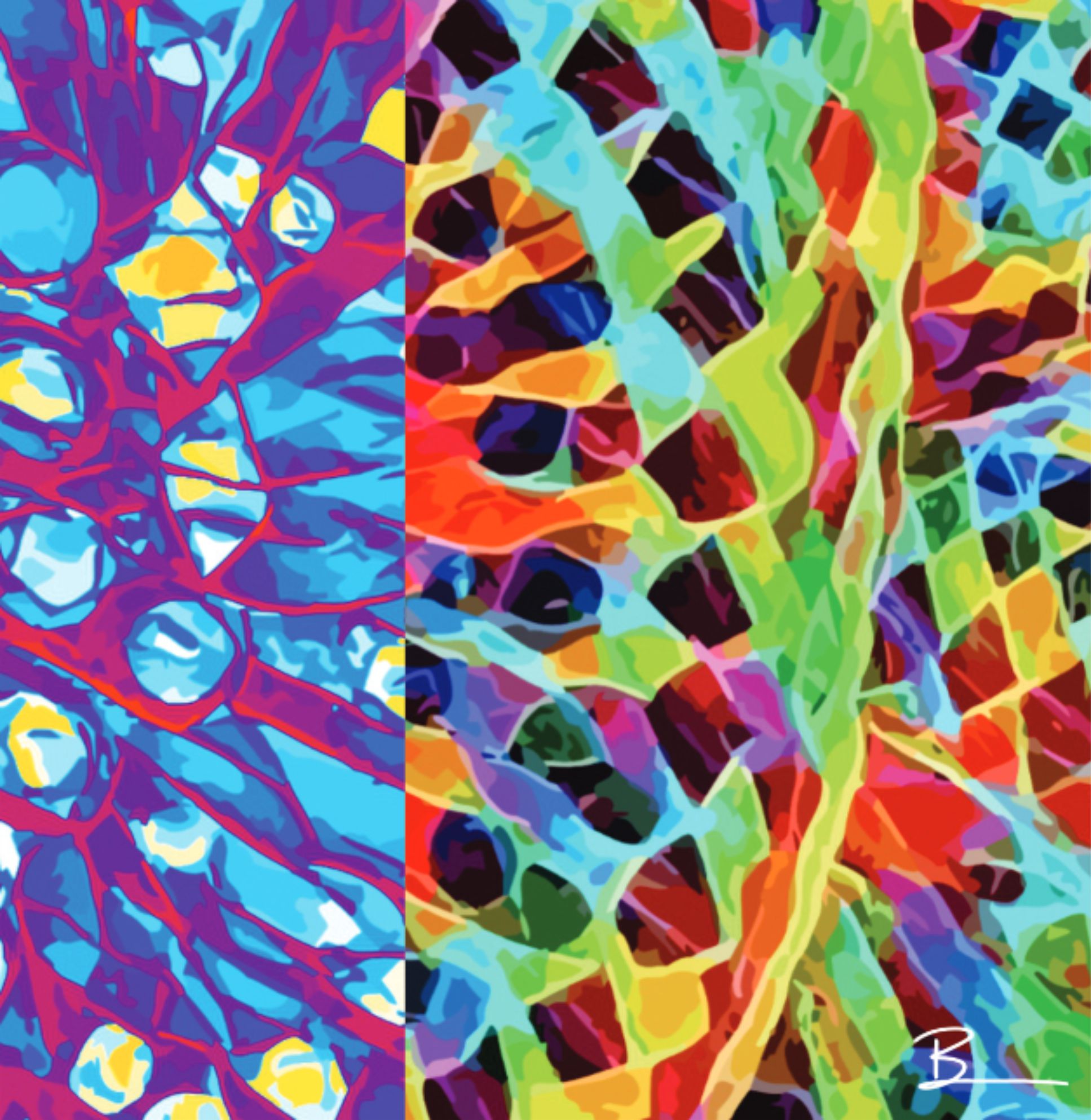 Chromatic Pop