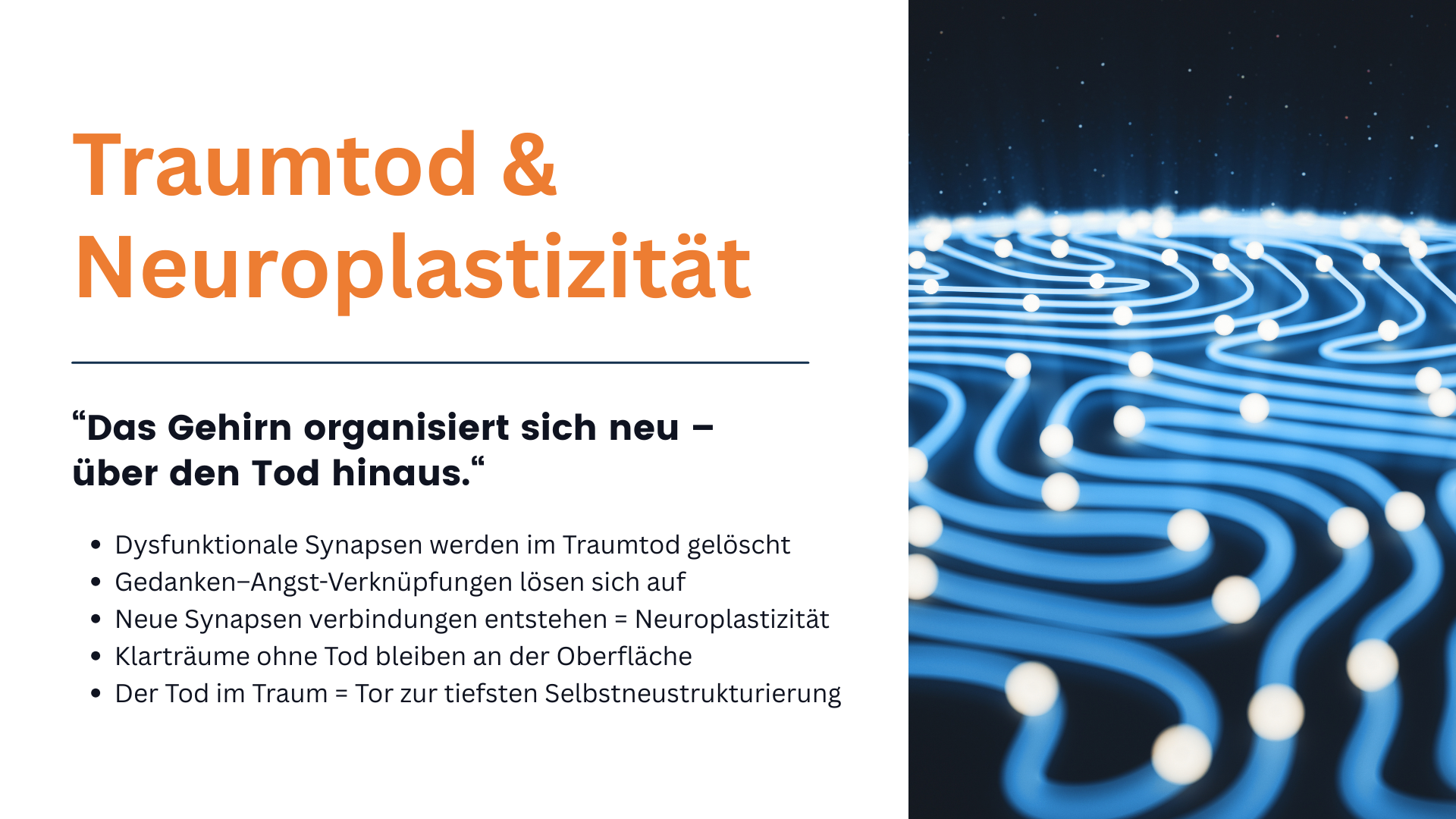 Textfolie zur Neuorganisation des Gehirns, zur Löschung dysfunktionaler Synapsen und zu tiefer Selbstneustrukturierung durch den Traumtod.