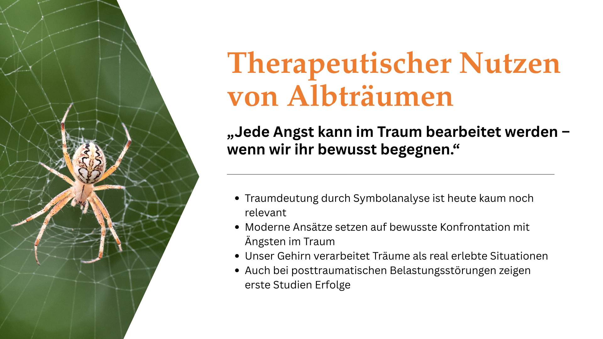 Folie mit Spinne im Netz; erläutert den therapeutischen Wert von Albträumen, bewusster Traumkonfrontation und moderner Traumabewältigung.