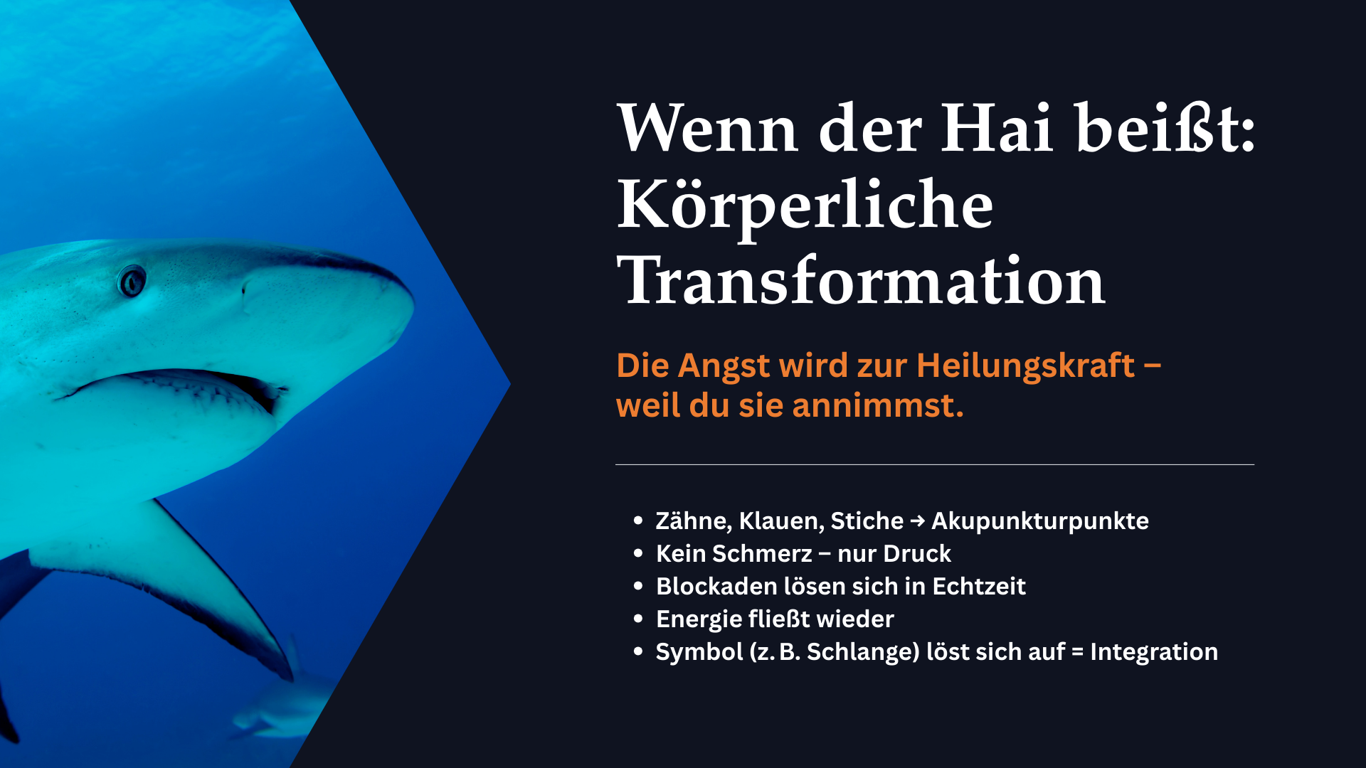 Folie mit Hai-Nahaufnahme; beschreibt Zähne, Klauen und Stiche als symbolische Zugriffe auf Energiepunkte, die Blockaden lösen und Integration ermöglichen.