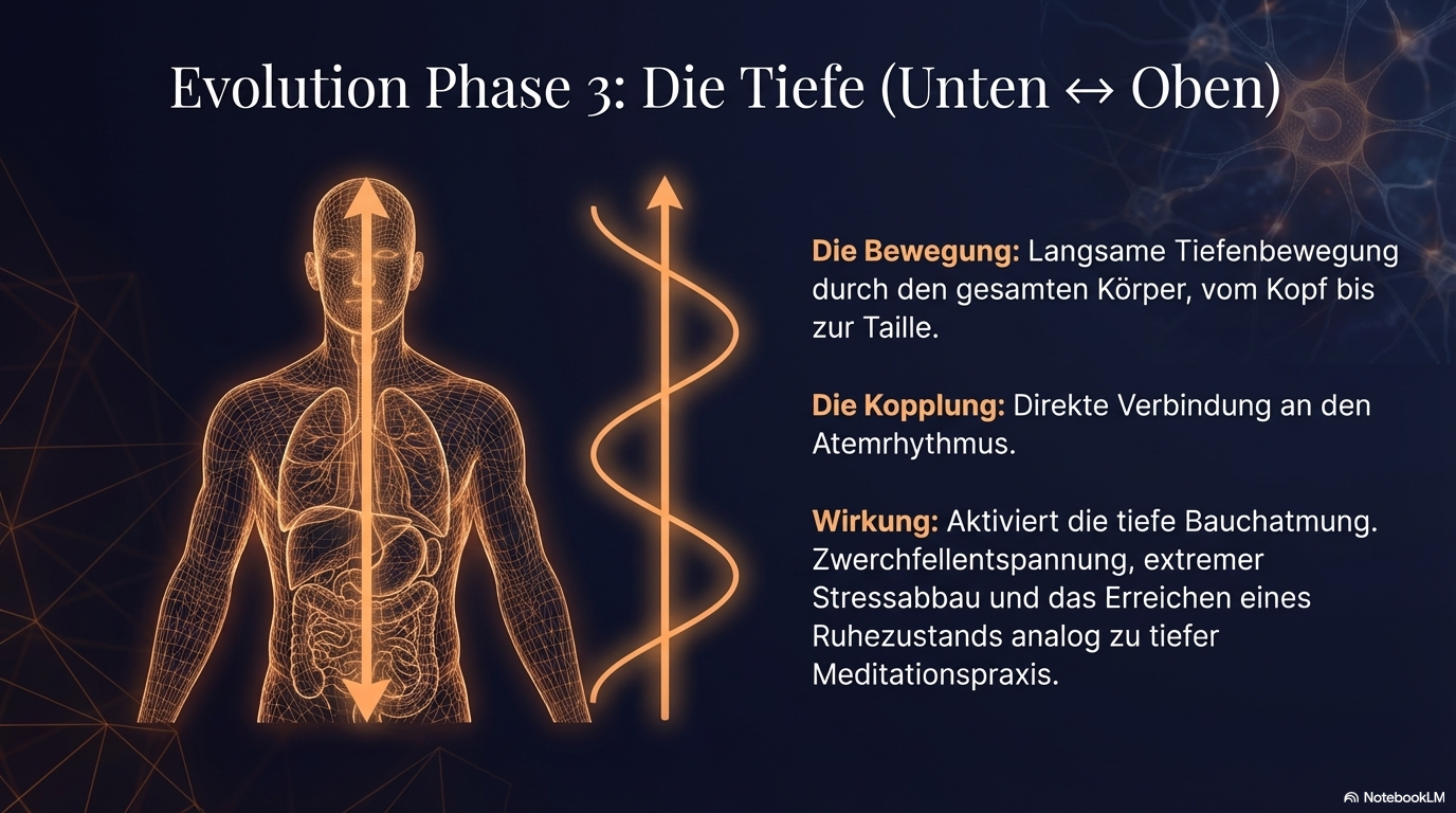 Leuchtender Körper mit senkrechter Pfeilbewegung durch den Rumpf; die Folie zeigt die Kopplung des Pendels an Atemrhythmus, Bauchatmung und tiefe Entspannung.