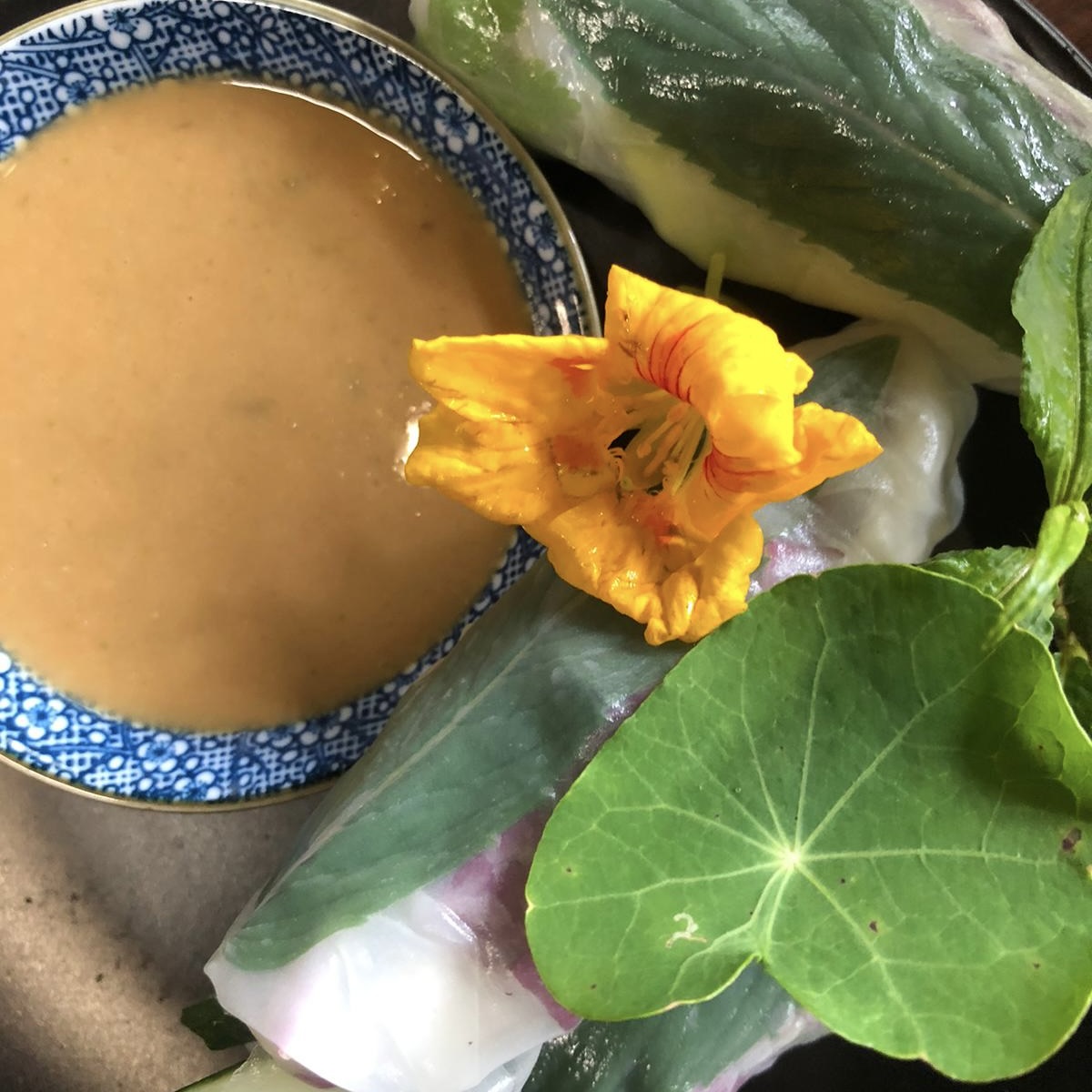 Miso Soup and Vietnamese Spring Rolls