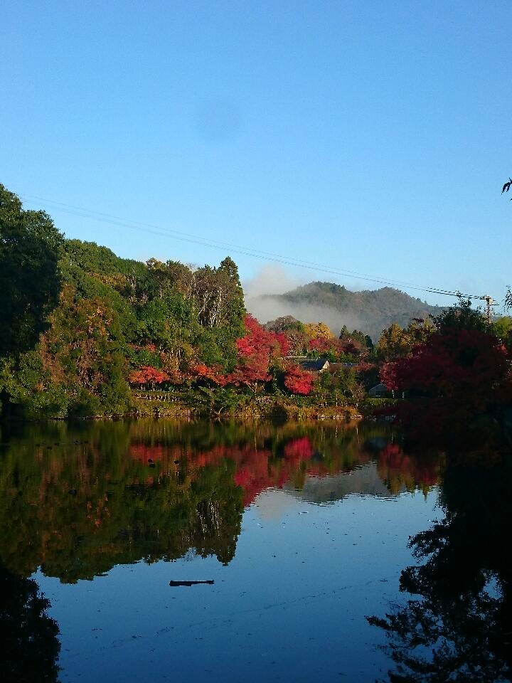 髪結い神様 御髪神社前の 小倉池 