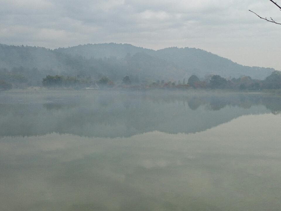 広沢の池  朝靄