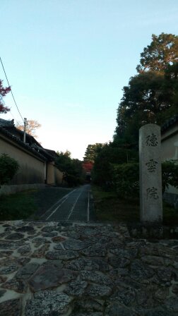 エントランスが素晴らしい「徳雲院」。