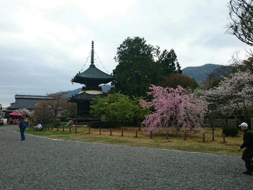 「清凉寺」多宝塔