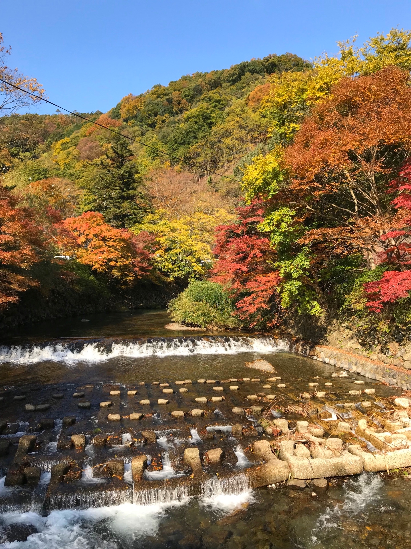 高野川