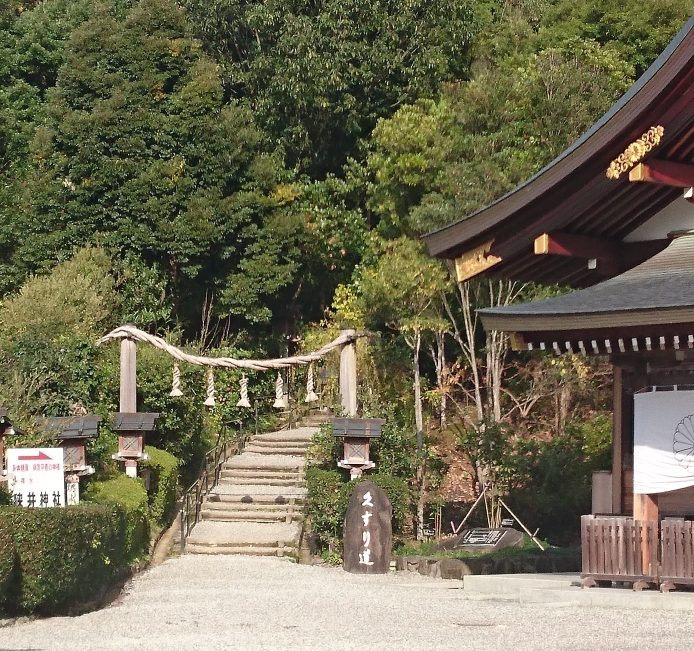 狭井神社 薬の道