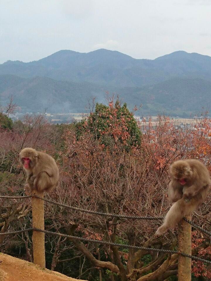 2016年申年 まもなく幕