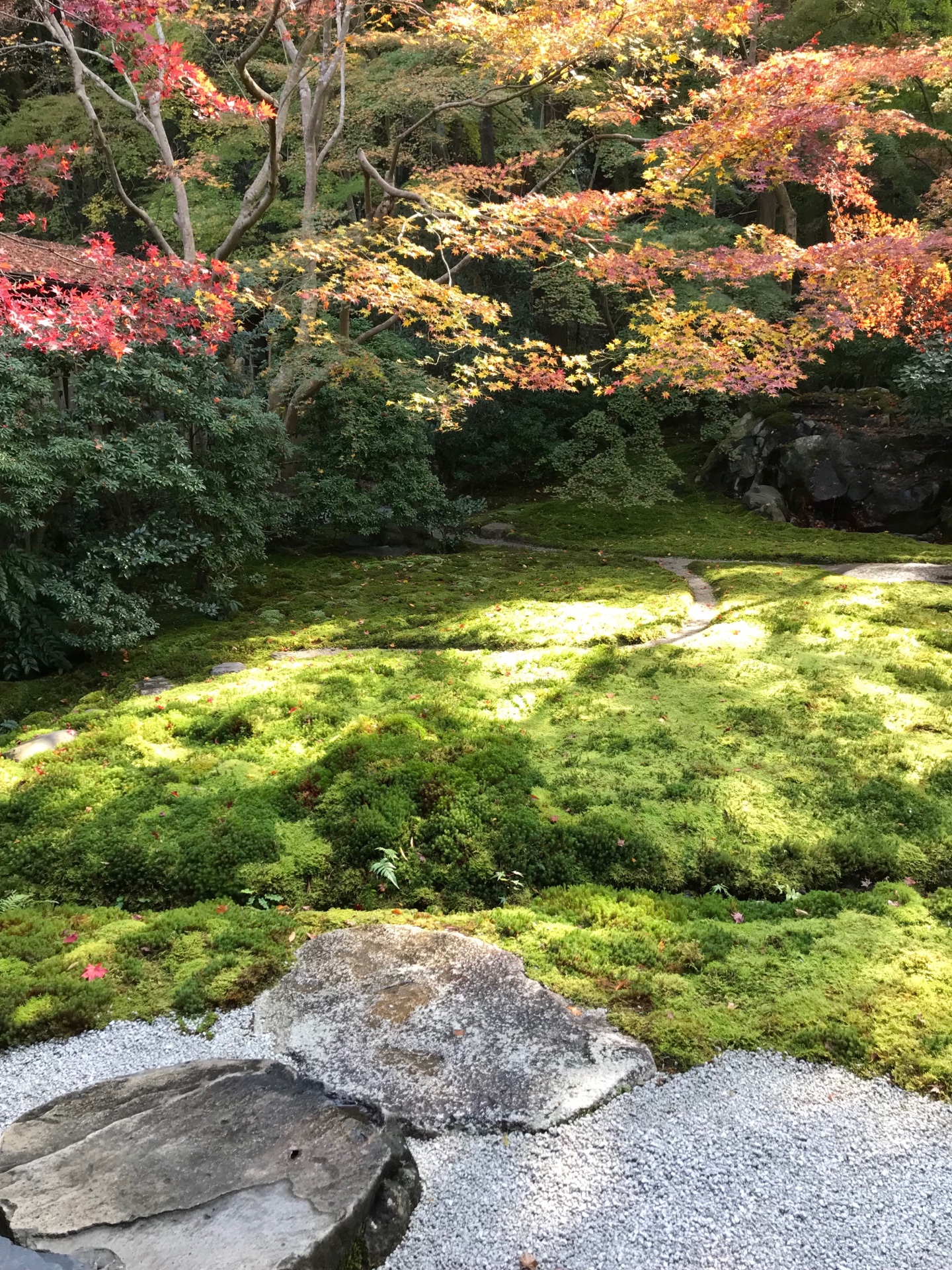 瑠璃の庭 瑠璃色に輝く浄土の世界を表現