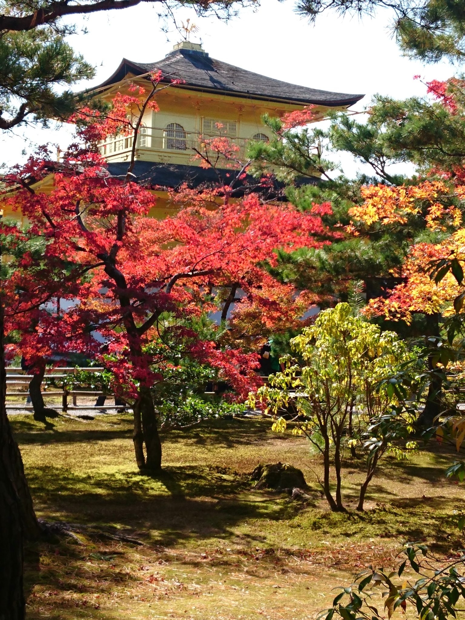 鹿苑寺金閣