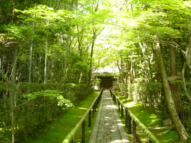 大徳寺塔頭 高桐院