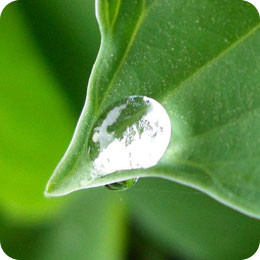 sophrologie, shiatsu, amma assis martinique et Diamant