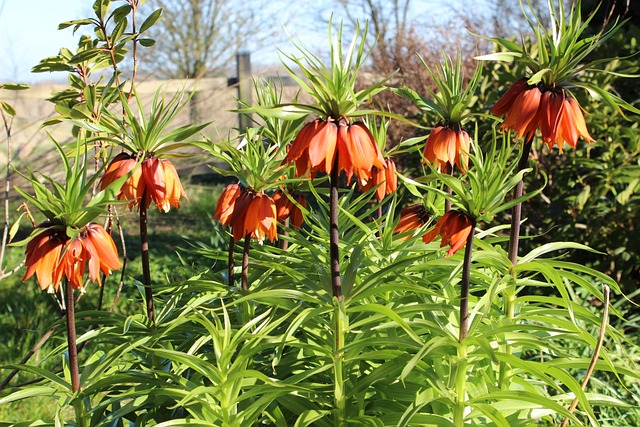 Frohe Ostern! Frühlingserwachen mit knallbunten Beeten