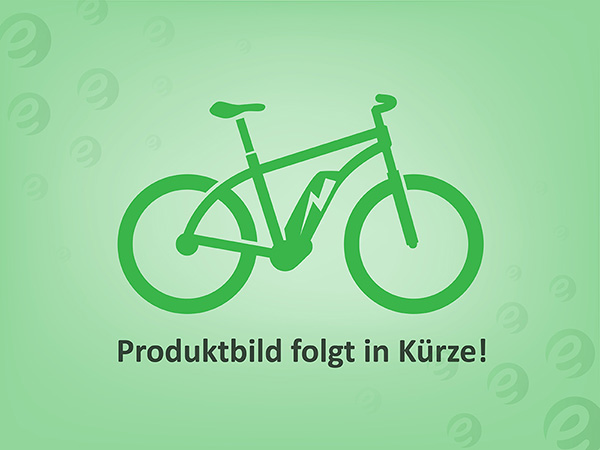 Focus Jarifa² Active Plus e-Mountainbike 2018