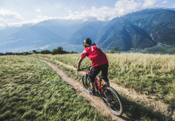 Haibike e-Bikes und Pedelecs in der e-motion e-Bike Welt in Aarau-Ost