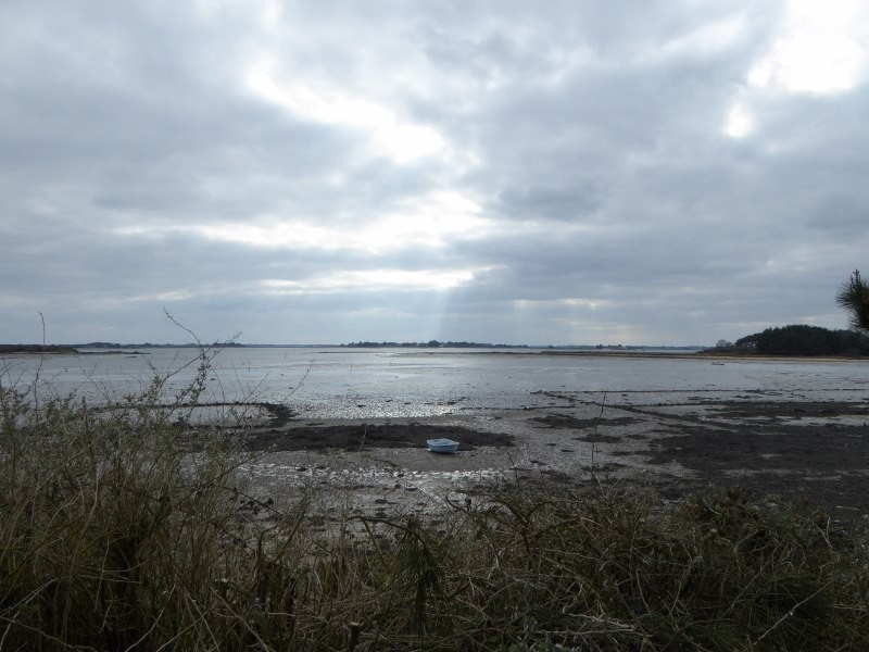 Randonnée commentée Golfe du Morbihan