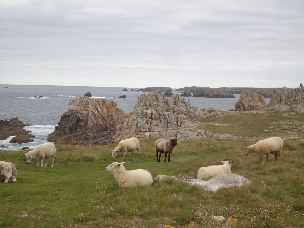 Accompagnement de groupe en Irlande